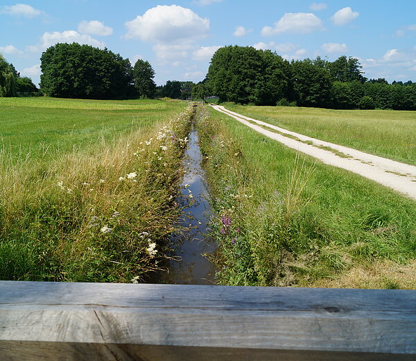 LDM-Kanal, Pilsacher Leitgraben