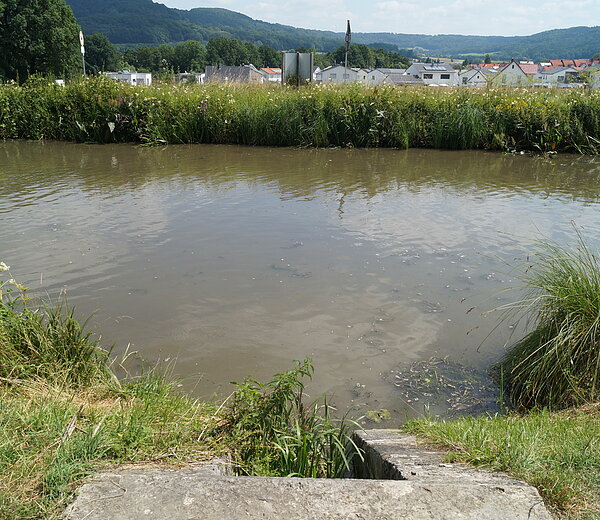 Hausheimer Leitgraben Einleitung in den LDM-Kanal