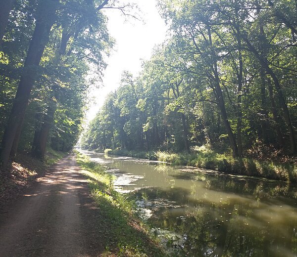 Blick in den Buchberger Einschnitt bei Neumarkt