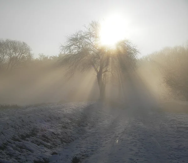 Winterstimmung an der Schleuse 25 bei Mühlhausen.