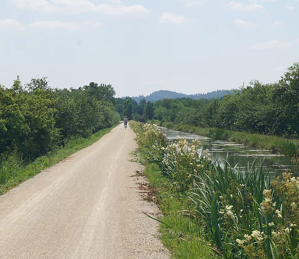 LDM-Kanal Kettenbachdamm, Blick Richtung Norden
