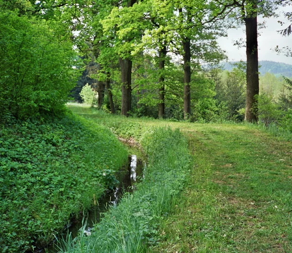 Blick auf den Hausheimer Leitgraben, einer der Leitgräben, der den Ludwig-Donau-Main-Kanal in der Scheitelhaltung mit Wasser speist