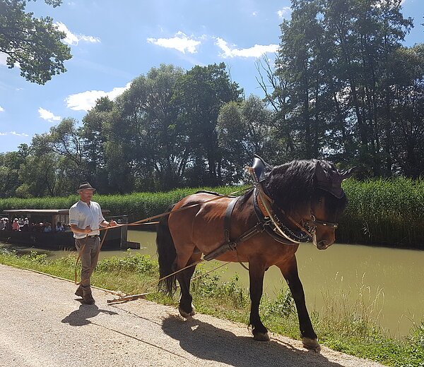 Treideln Mühlhausen an Schleuse 25