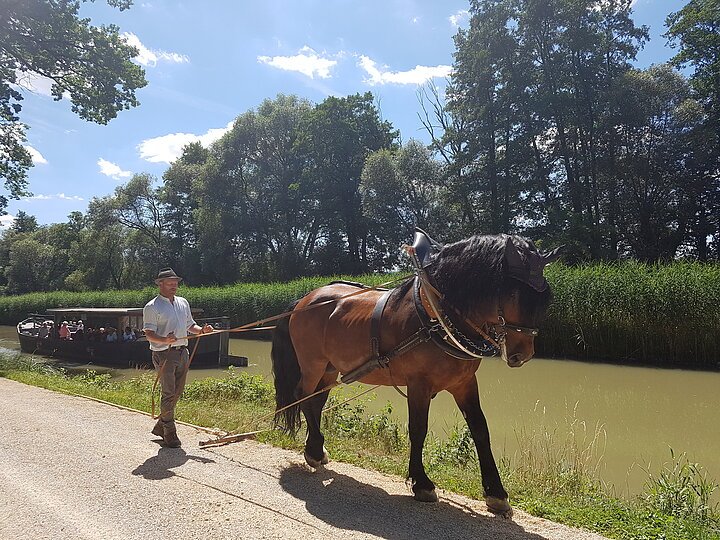 Treideln Mühlhausen an Schleuse 25