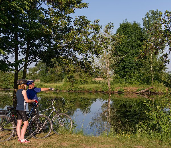 Idyllisches Naherholungsgebiet in den Regnitzauen bei Baiersdorf