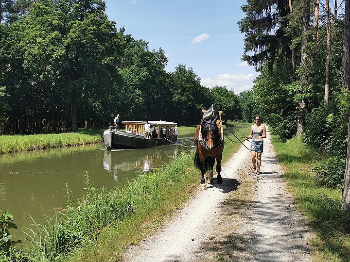 Treideln am Kanal bei Mühlhausen