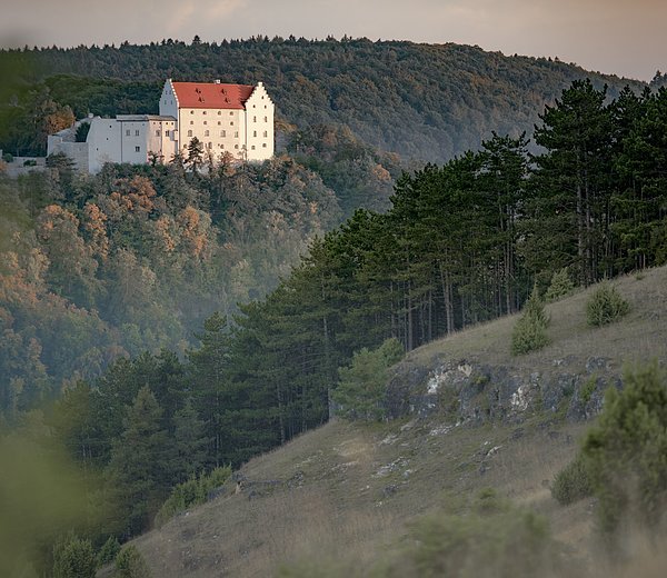 Blick zur Rosenburg in Riedenburg_© Anton Mirwald