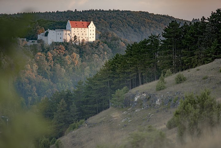 Blick zur Rosenburg in Riedenburg_© Anton Mirwald