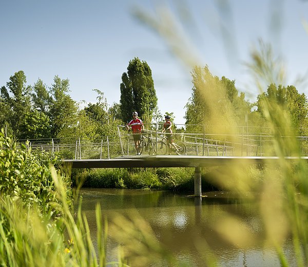 Radfahrer auf einer modernen Brücke über dem für die Fische angelegten Umgehungsbach im ERBA-Park