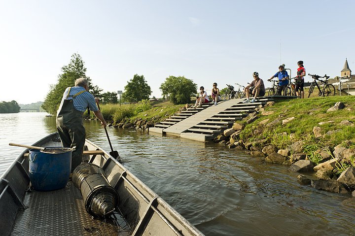 Bischberger Fischer an der Regnitz