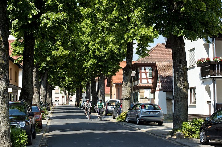 Lindenallee in Strullendorf