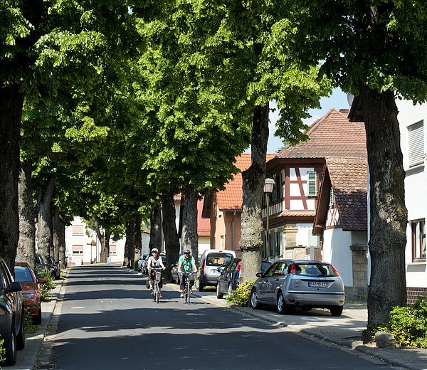 Lindenallee in Strullendorf